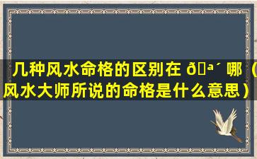 几种风水命格的区别在 🪴 哪（风水大师所说的命格是什么意思）